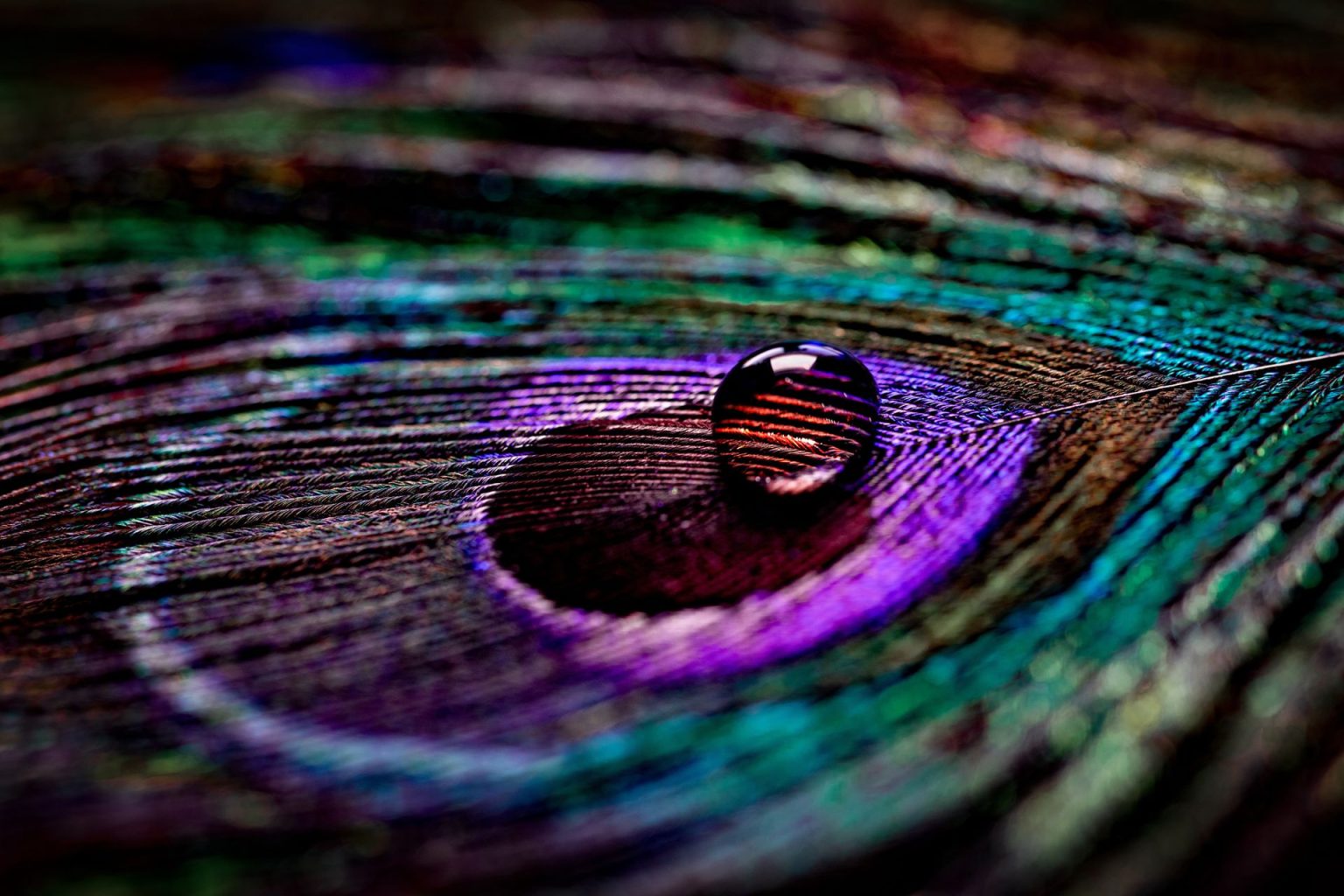 Art Massage Budapest Holisztikus Tantrikus rint s Szeretet art-massage-budapest-holisztikus-tantrikus-rint-s-szeretet